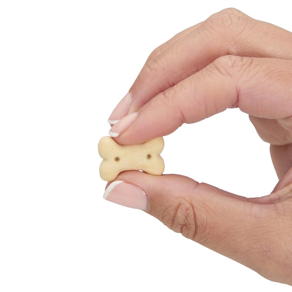 Petface Dog Deli Good Morning Biscotti Dog Treats 300g