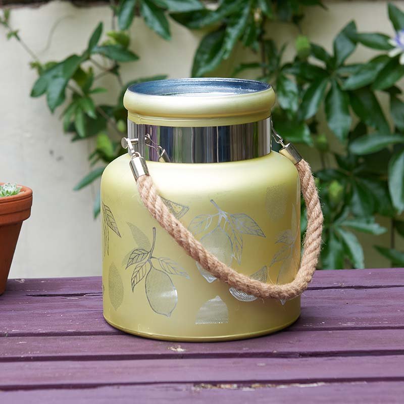 Smart Garden Lemon Lantern - Yellow