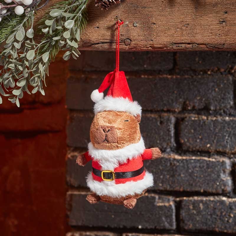 Smart Garden Santa Capybara - Pendant
