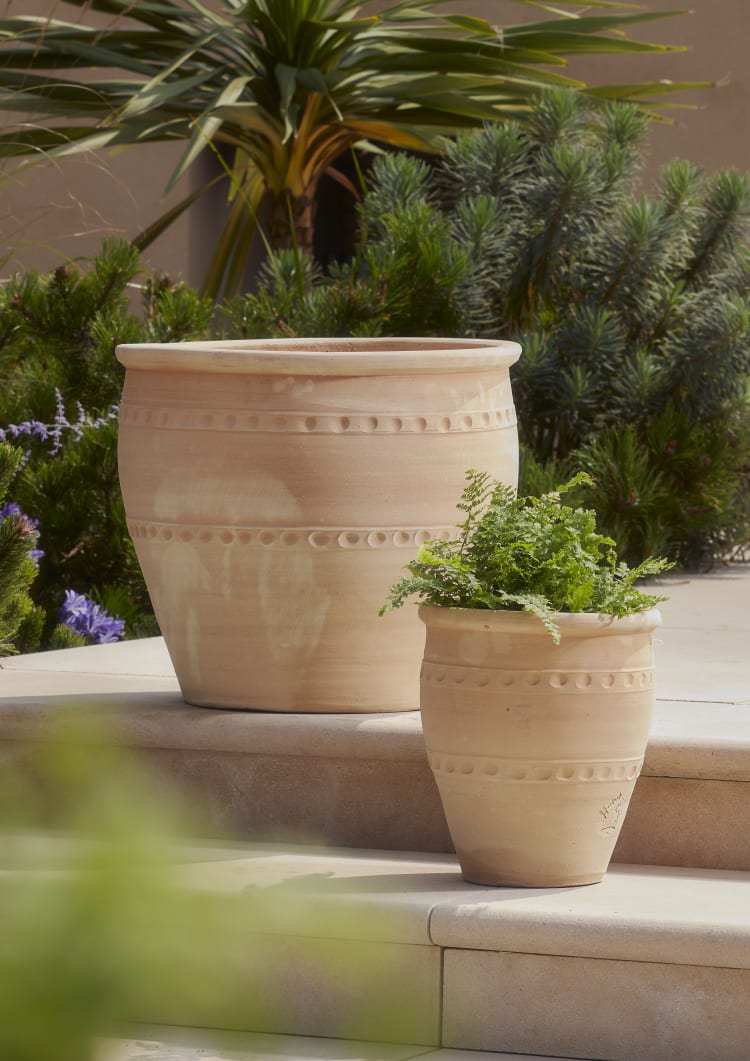 Woodlodge Aaliyan Pot