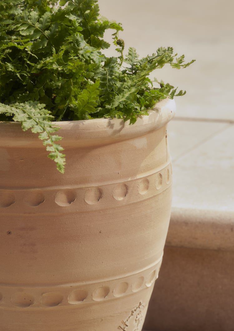 Woodlodge Aaliyan Pot