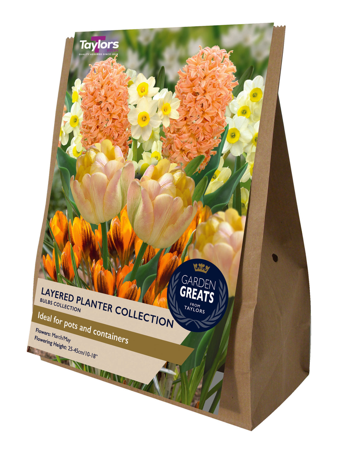 Taylor's Bulbs Garden Greats Pack Layered Planter Collection