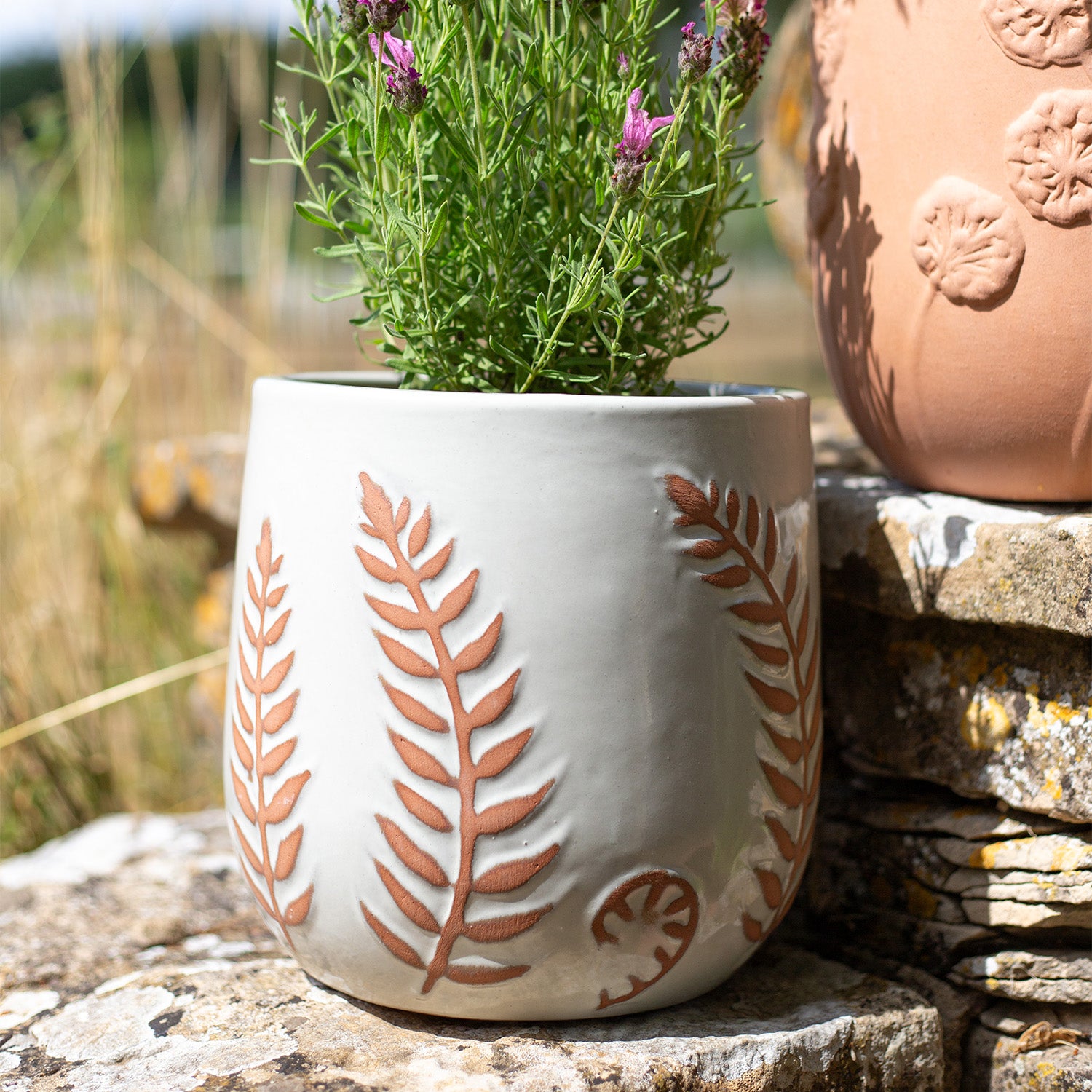 Apta Botanica Glazed