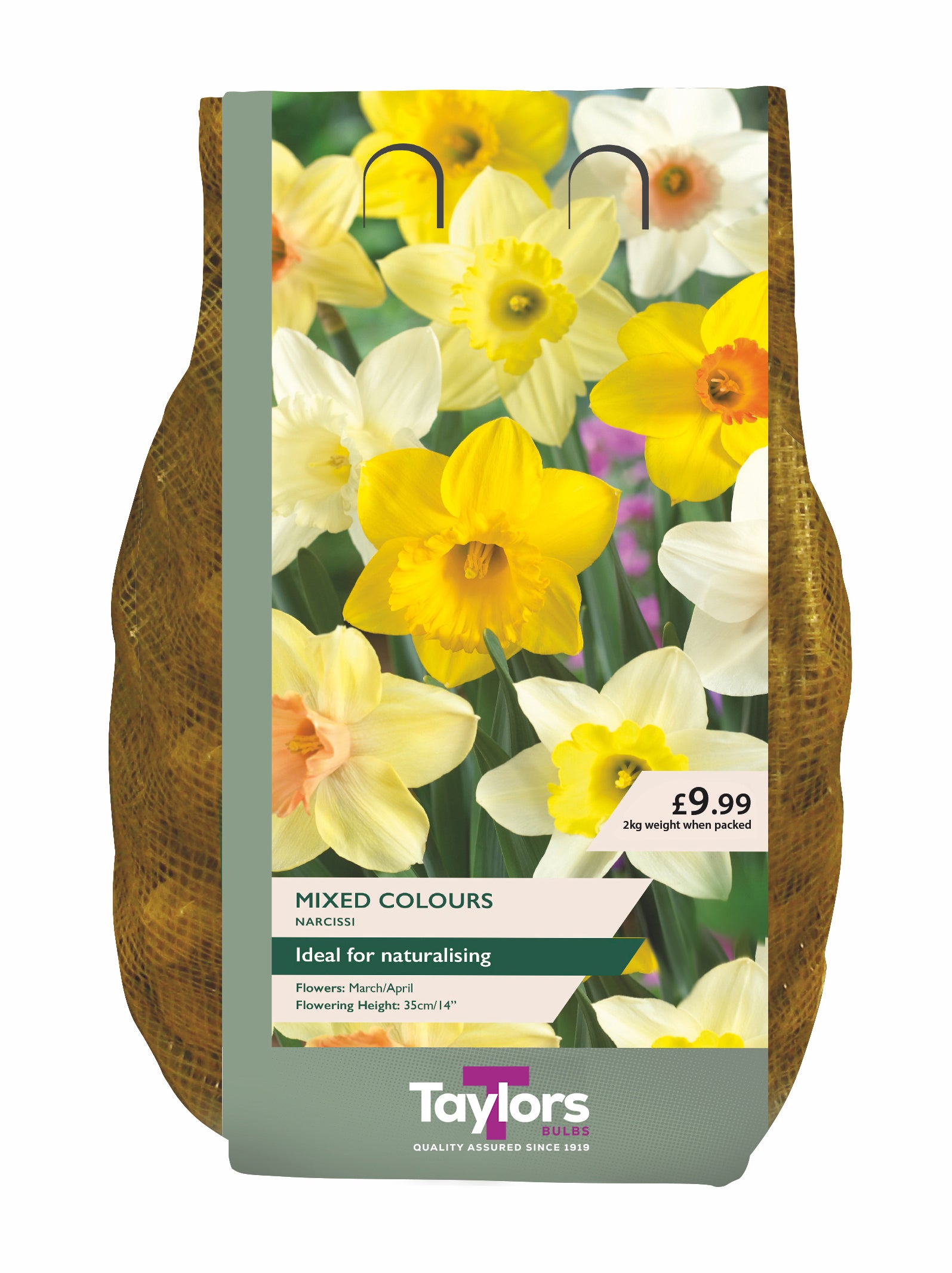 Taylor's Bulbs Carri-Pack Narcissus Mixed 2kg