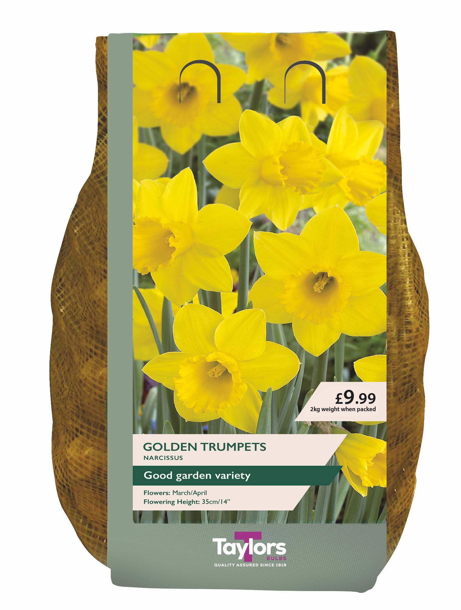 Taylor's Bulbs Carri-Pack Narcissus Golden Trumpets 2kg