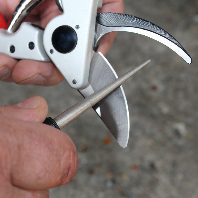 Darlac Tung Diamond Sharp