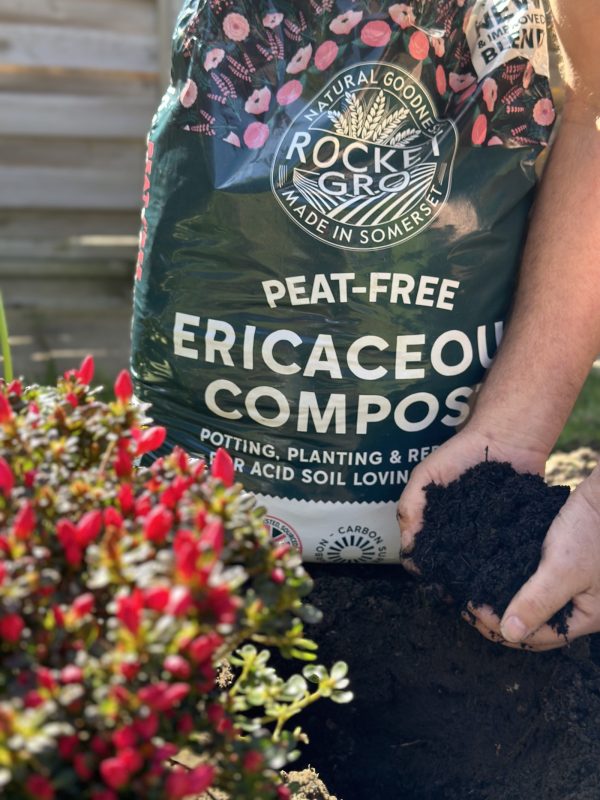 RocketGro Peat-Free Ericaceous Compost 20l