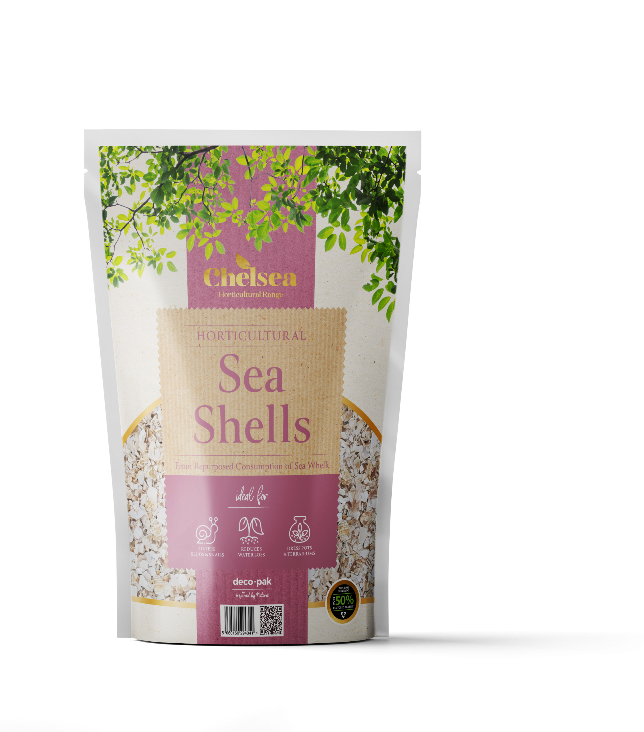 Deco Pak Seashells - Large