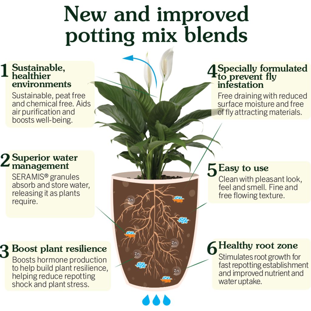 Westland Houseplant Potting Mix 4L