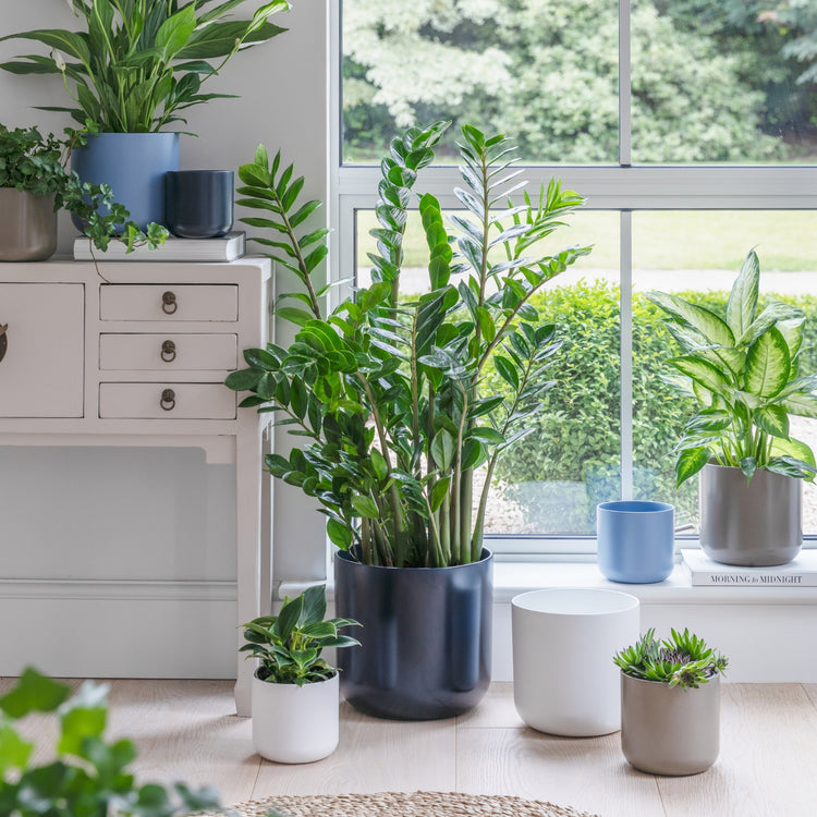 Ivyline Lisbon Planter Navy