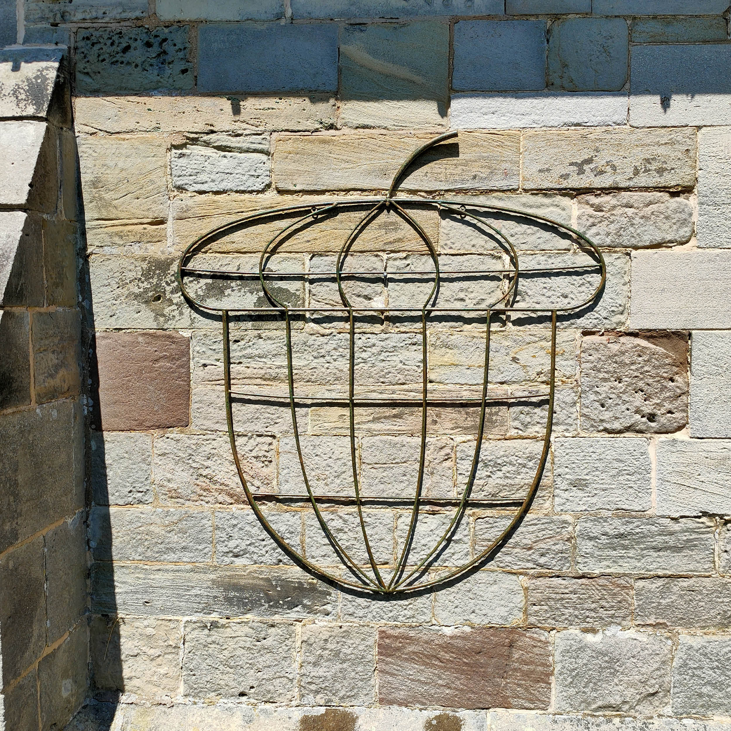 Treadstone Orchard Acorn Trellis