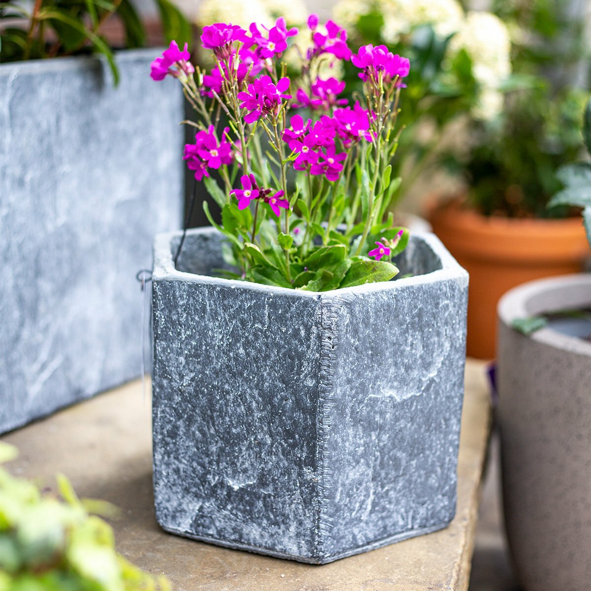 Apta Slate Light Grey Hexagon