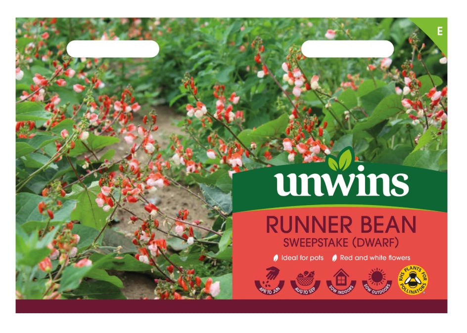 Unwins Dwarf Runner Bean Sweepstake Seeds