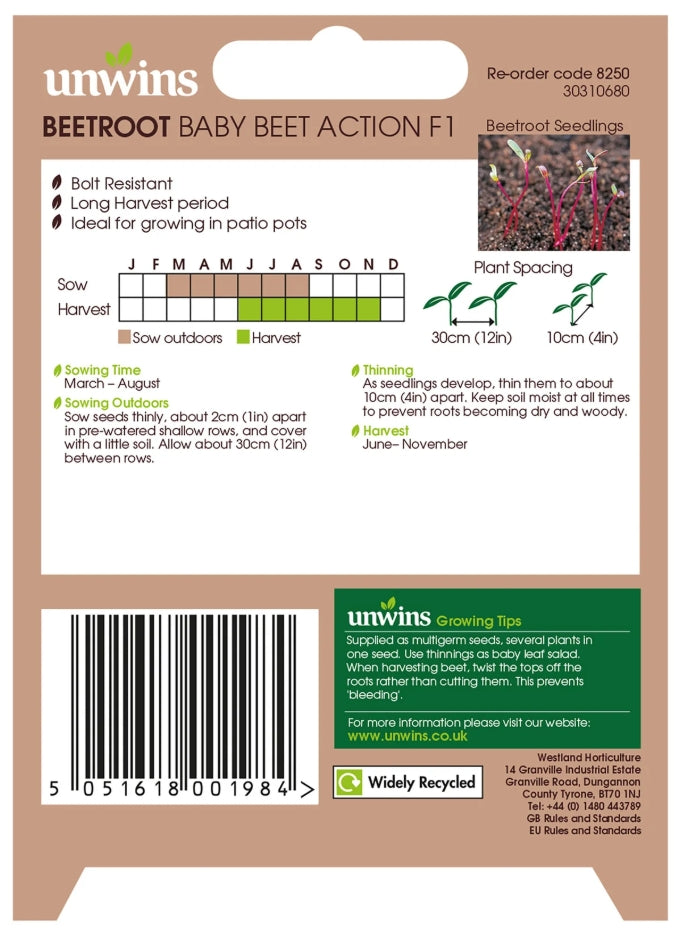 Unwins Round Beetroot Baby Beet Action F1 Seeds