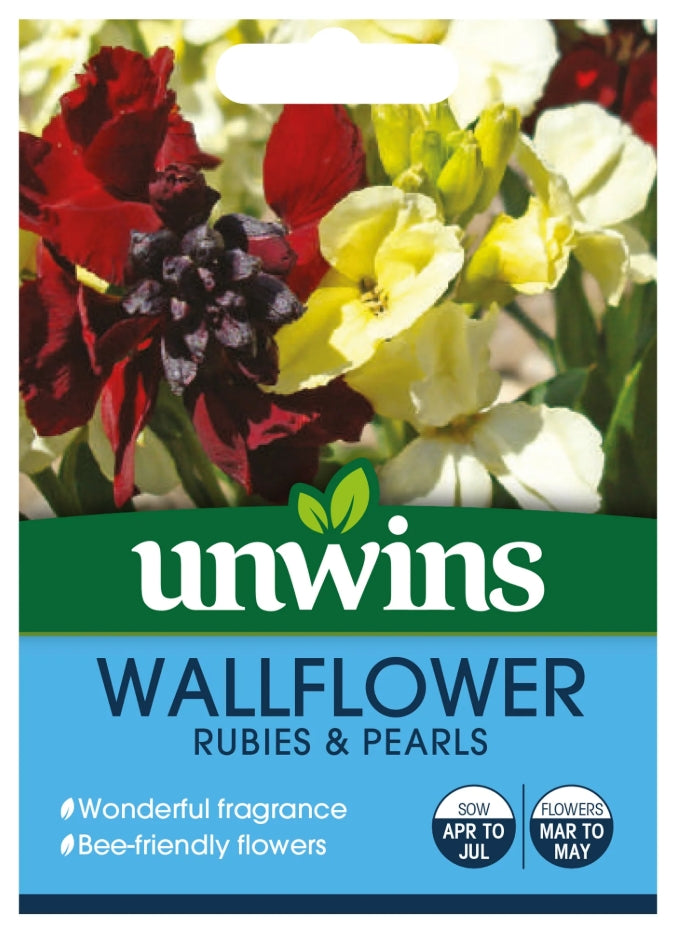 Unwins Wallflower Rubies & Pearls Seeds