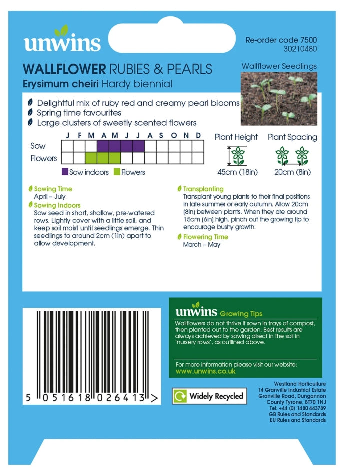 Unwins Wallflower Rubies & Pearls Seeds