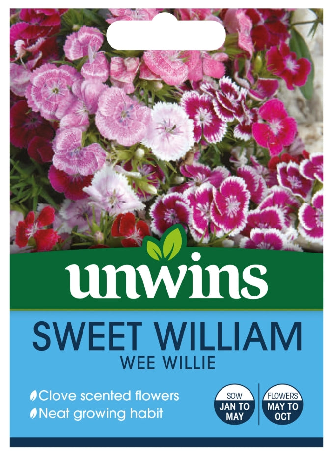 Unwins Sweet William Wee Willie Seeds