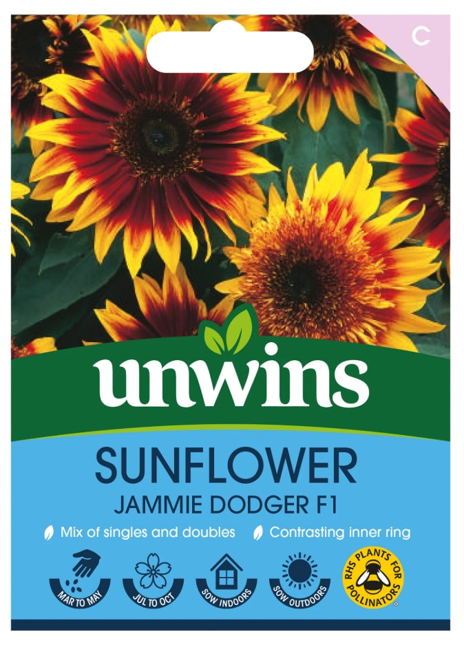 Unwins Sunflower Jammie Dodger F1 Seeds