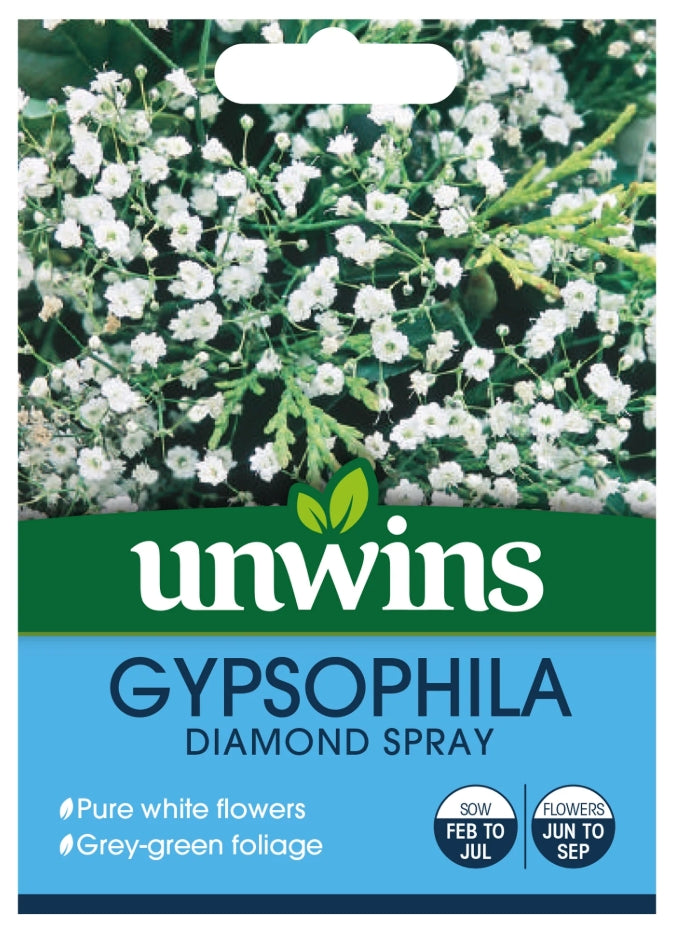 Unwins Gypsophila Diamond Spray Seeds