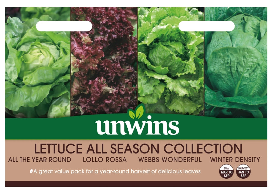 Unwins Lettuce All Season Collection Pack Seeds