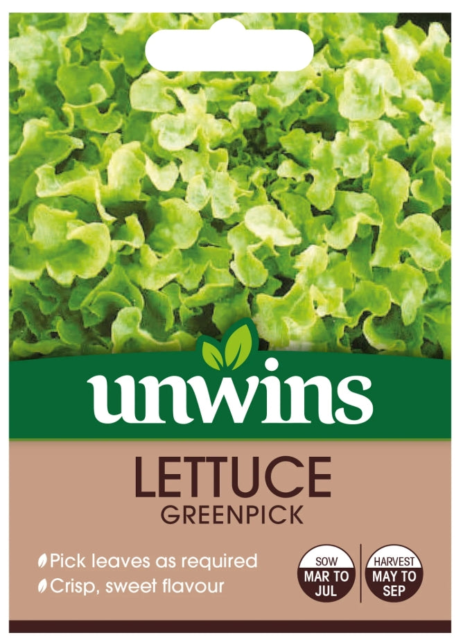 Unwins Loose Lettuce Greenpick Seeds