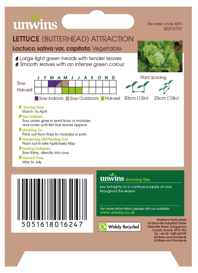 Unwins Butterhead Lettuce Attraction Seeds