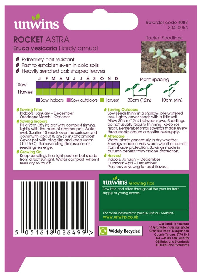 Unwins Rocket Astra Seeds