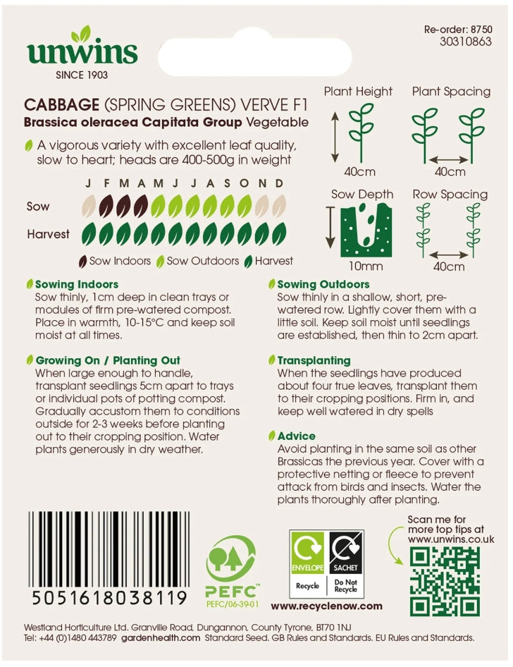 Unwins Spring Greens Cabbage Verve F1 Seeds