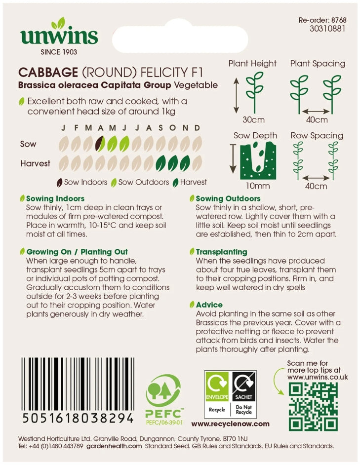 Unwins Round Cabbage Felicity F1 Seeds