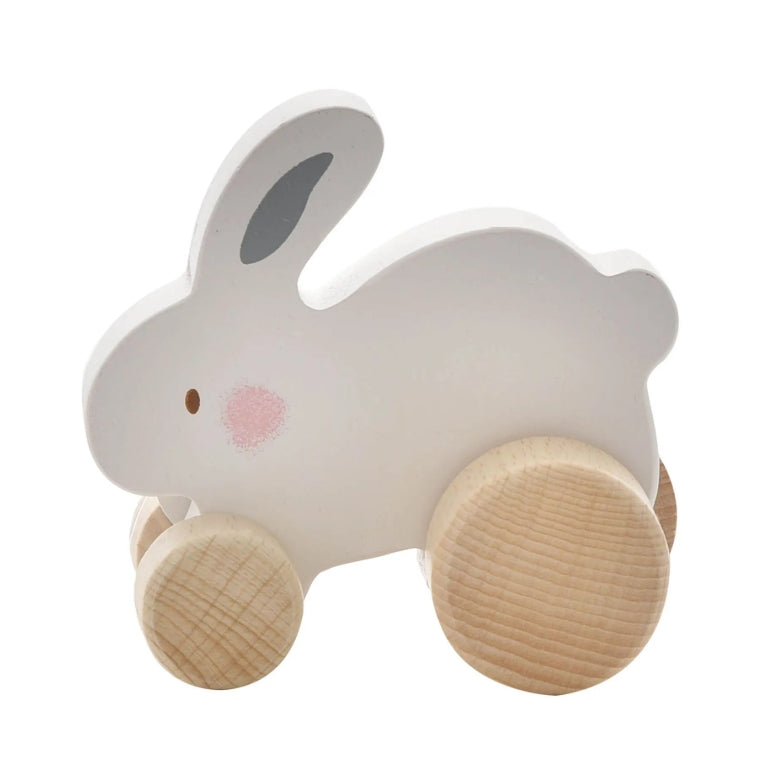 Bambino Wooden Toy Push Animals
