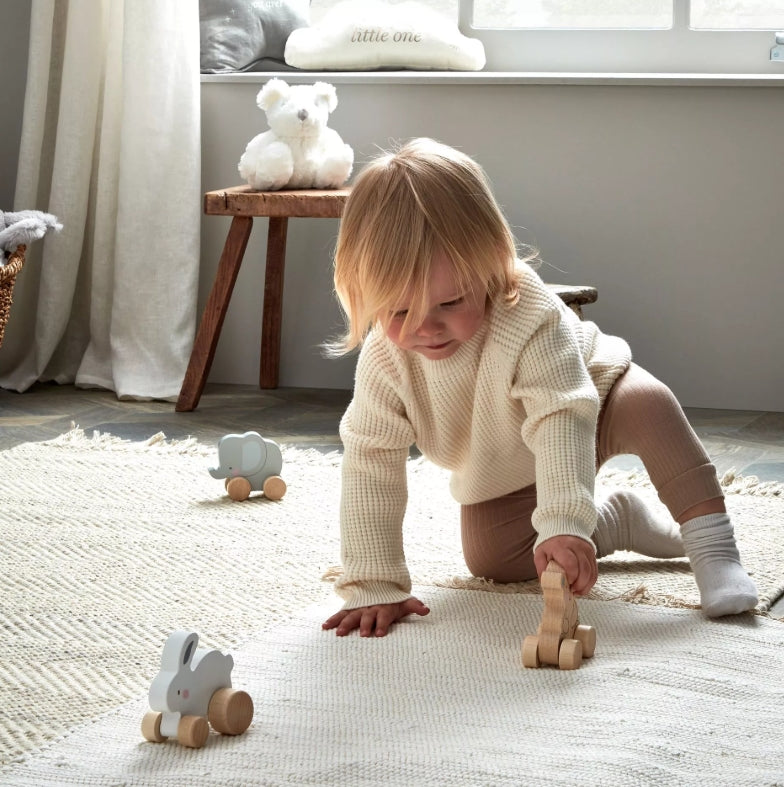 Bambino Wooden Toy Push Animals