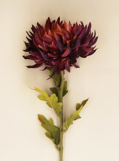 Gisela Graham Dark Purple Chrysanthemum Stem 62cm