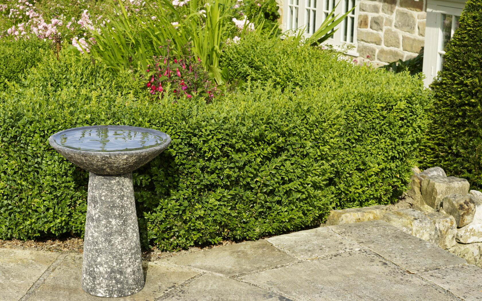 Apta Vesuvius Bird Bath 41cm