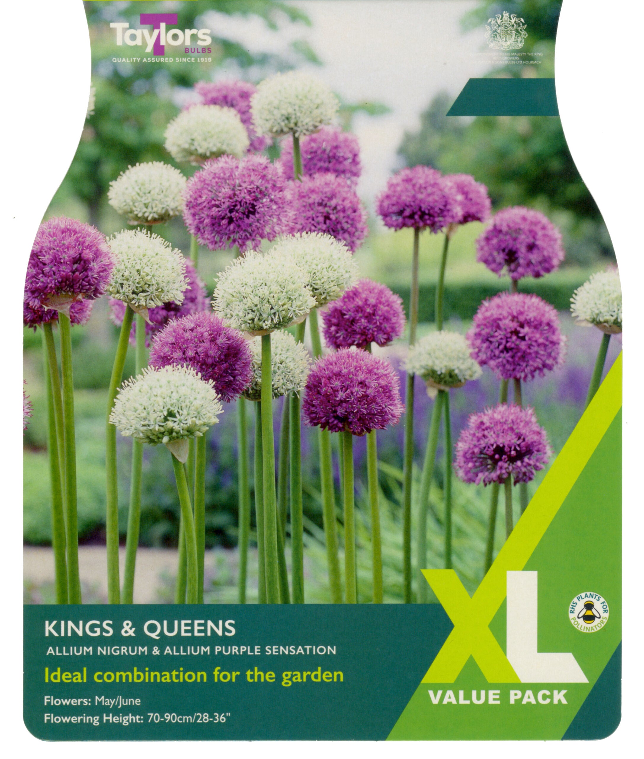 Taylor's Bulbs XL Value Pack Allium Kings & Queens