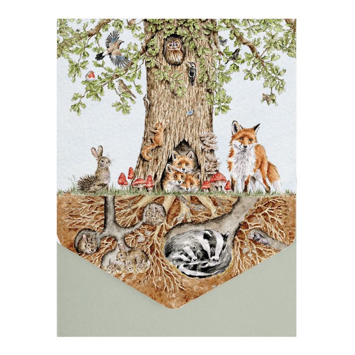 Wrendale Designs 'Wild Woodland' Nature Notecard Pack
