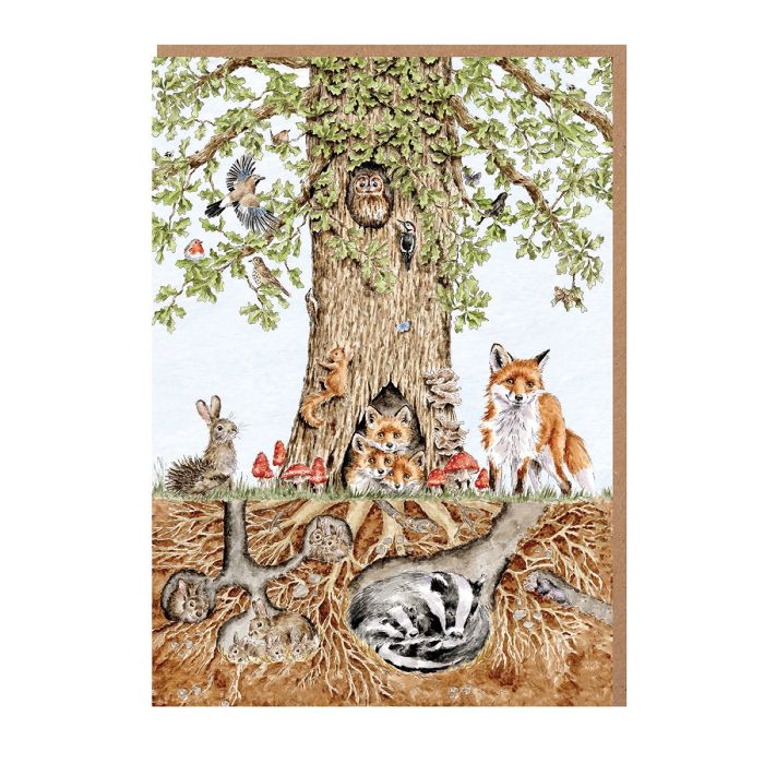 Wrendale Designs 'Wild Woodland' Nature Notecard Pack