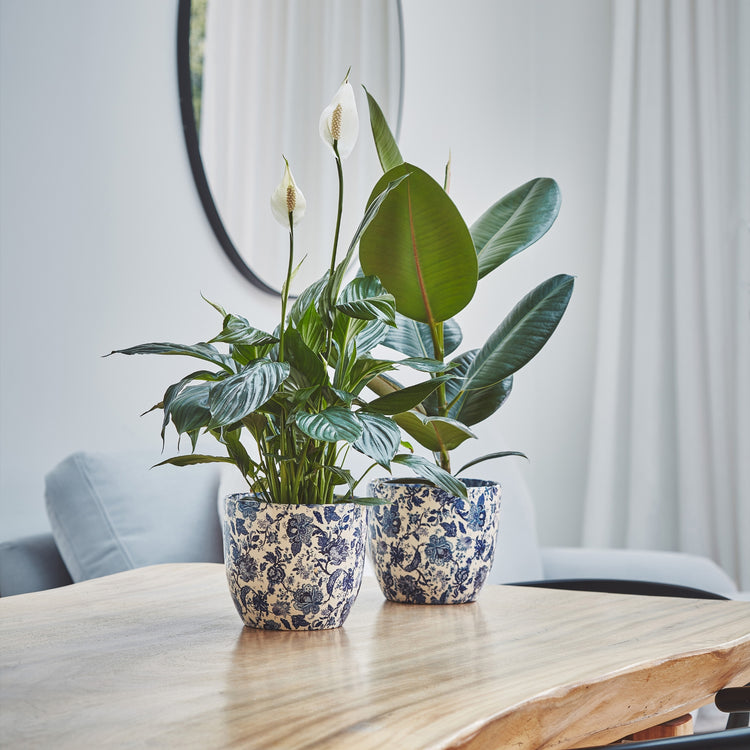 Ivyline Monza Vintage Foliage Planter
