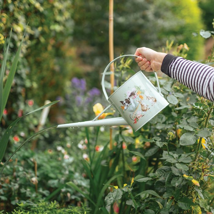 Wrendale Designs 'Sleeping on the Job' Border Collie and Rabbit Watering Can