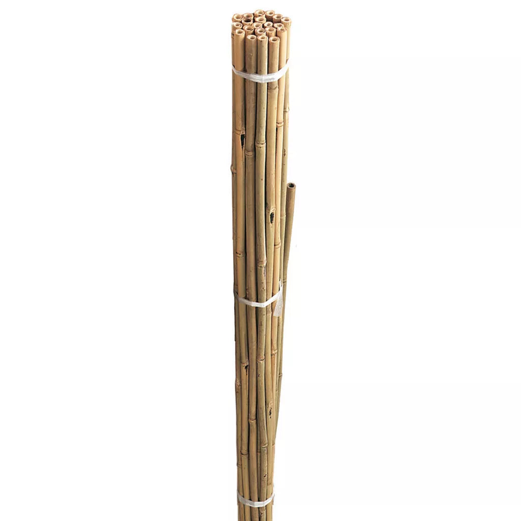 Grow It Bamboo Canes Bulk Bundle 60cm 20pk