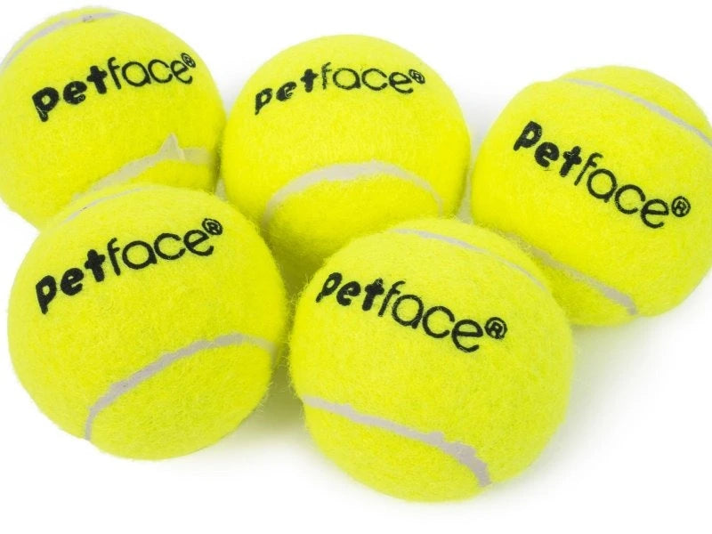 Petface Mini Super Tennis Balls 5 Pack