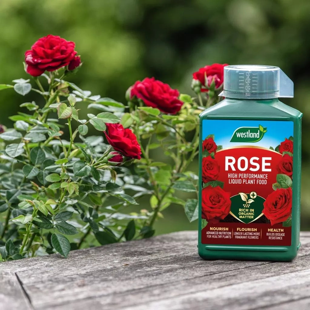 Westland Rose High Performance Liquid Plant Food 1L