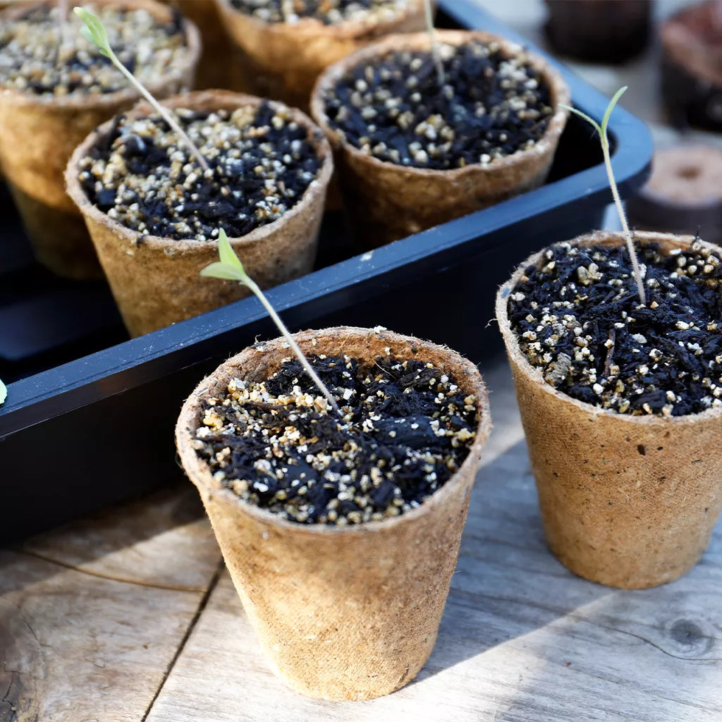 Gardman Grow It 6cm Round Fibre Pots 24 Pack