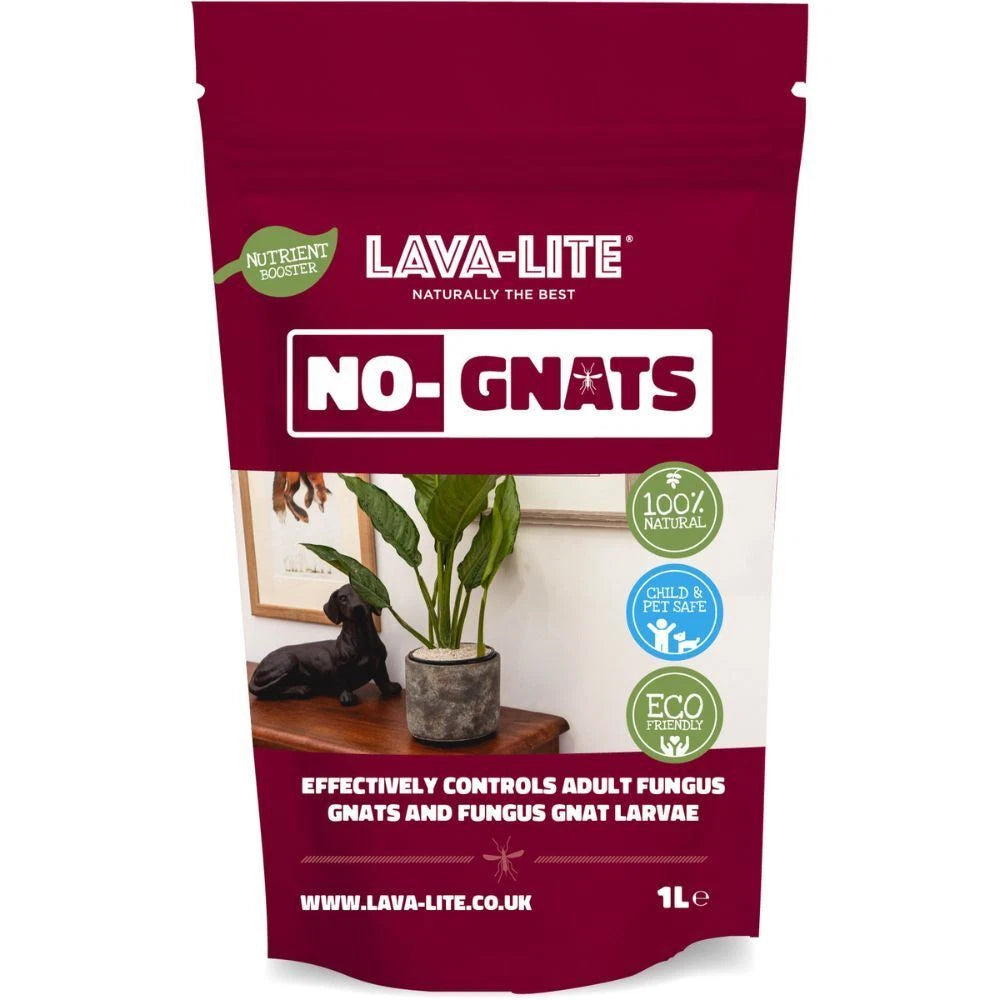 Lava Lite No Gnats 1Ltr