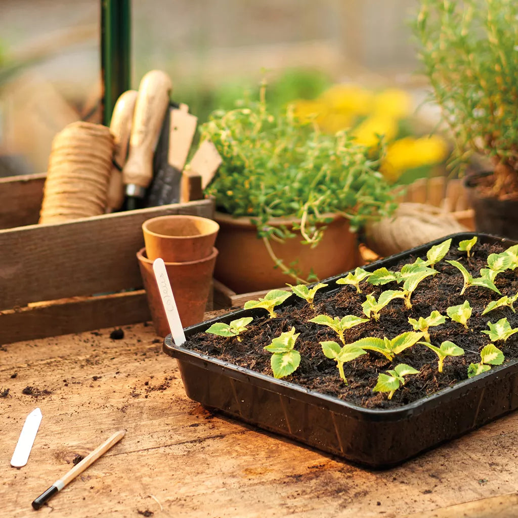 Gardman Gro-Sure Rigid Standard Seed Tray