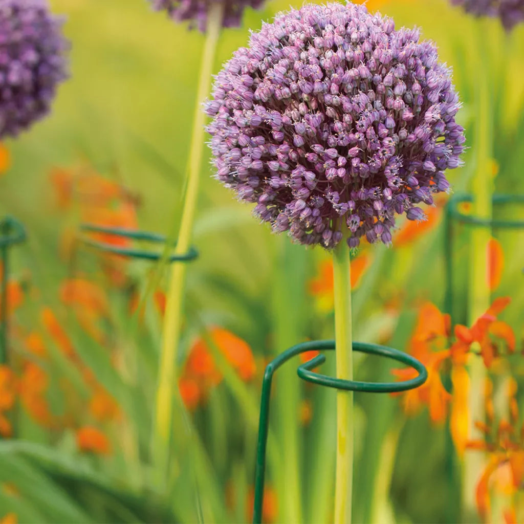 Grow It Single Stem Support 3pk