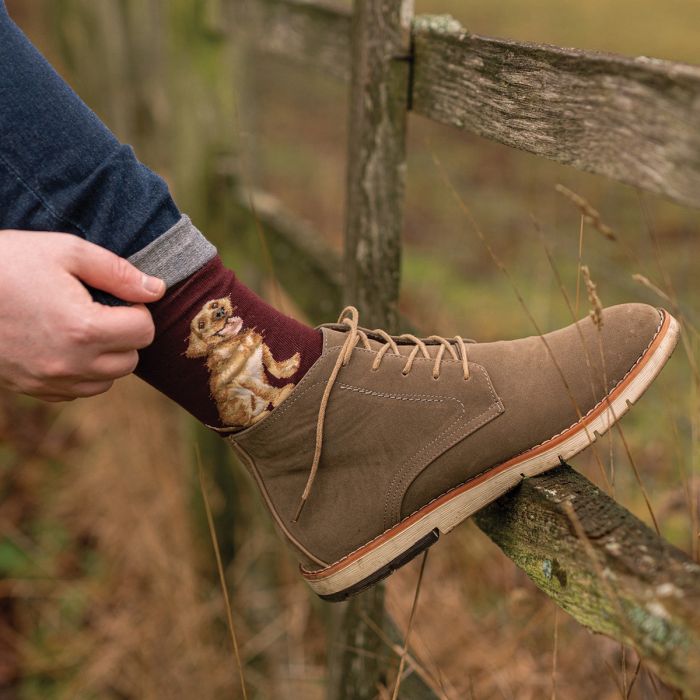 Wrendale Designs 'Good as Gold' Labrador Men's Socks