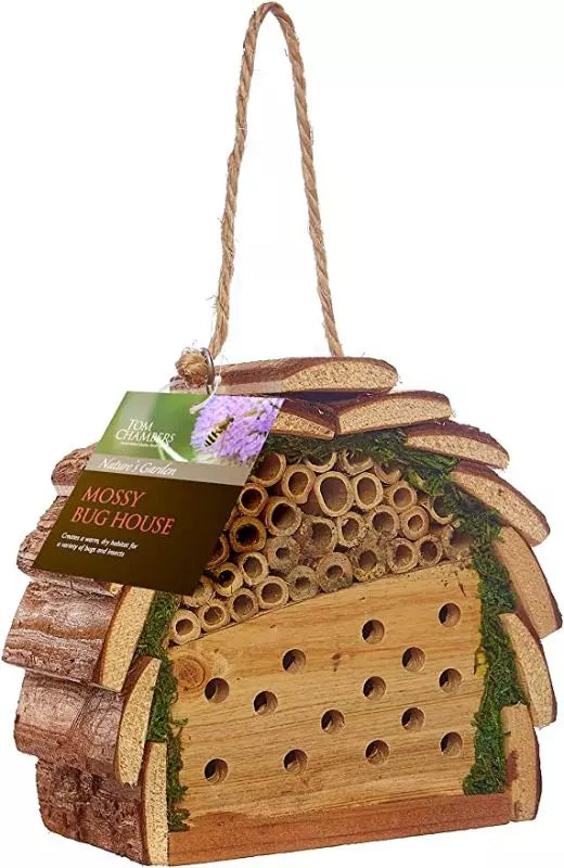 Tom Chambers Mossy Bug House